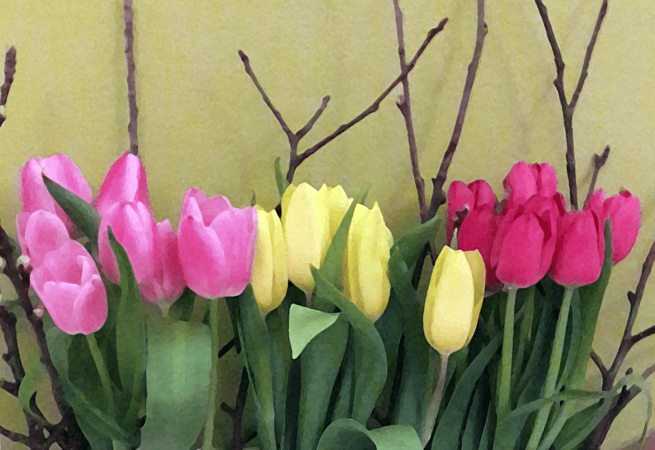 Trotz Corona: Frohe Ostern euch allen! - ÖGLB